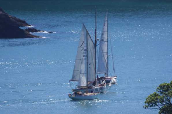 10 July 2022 - 11-10-03

----------------------
Classic Channel Regatta 2022 Parade of Sail